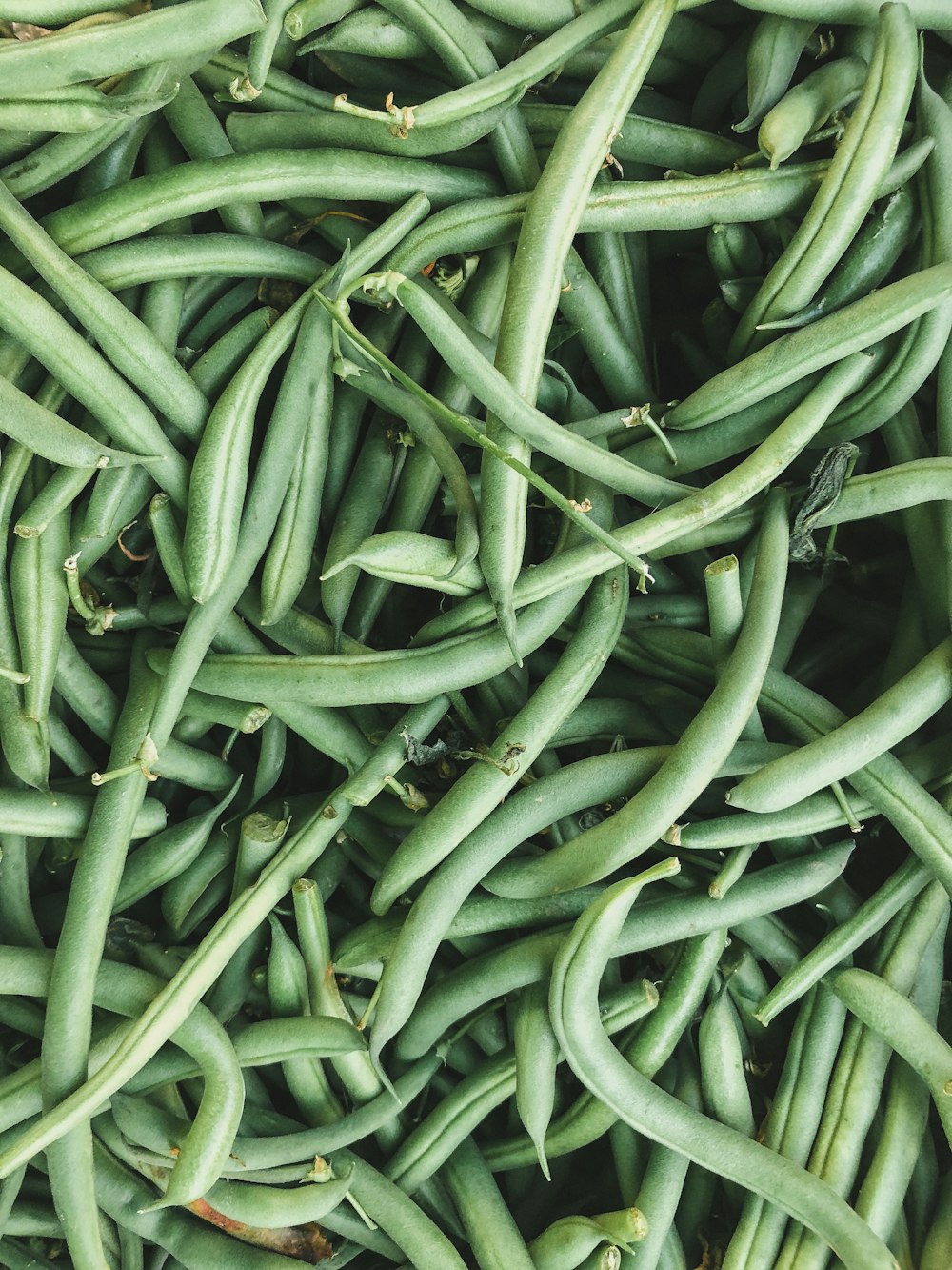 Ring Beans